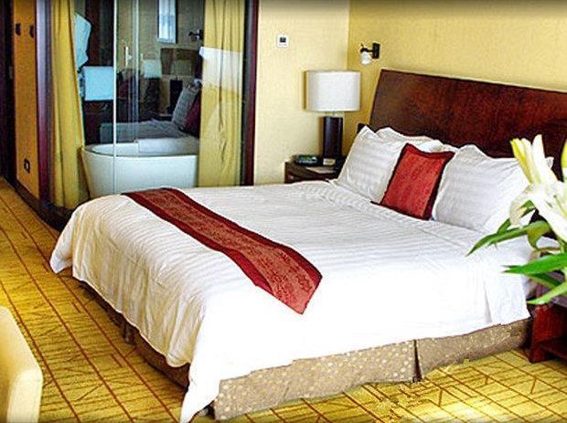 Yun-Zen Jinling World Trade Plaza Hotel Š'-t'ia-čuang Pokoj fotografie